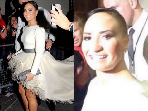 tumblr-thinks-demi-lovato-has-a-secret-basement-dwelling-twin-named-poot-and-demi-s-not-am-687201