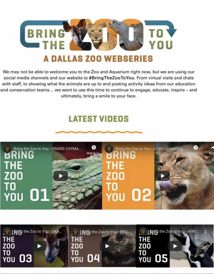 Screenshot of https://www.dallaszoo.com/bringthezootoyou/