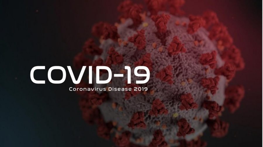 Coronavirus (completely false beliefs)