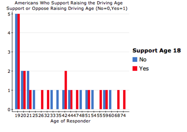 Should the Driving Age be Raised?