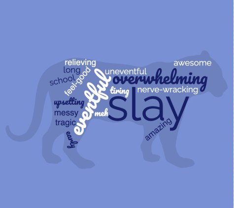 Students described their first day of school in one word. Check out this word cloud of their responses.